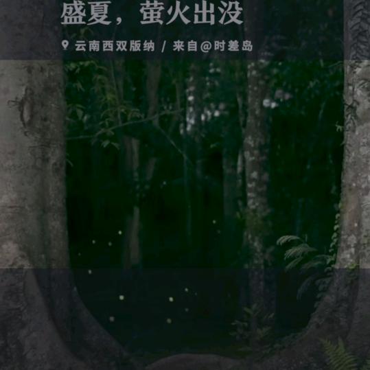 超越自我