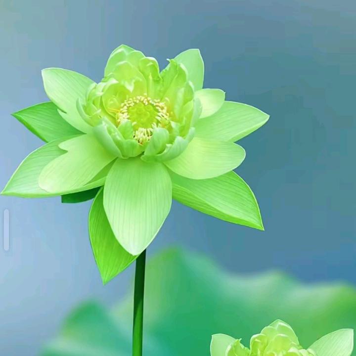 平淡是真