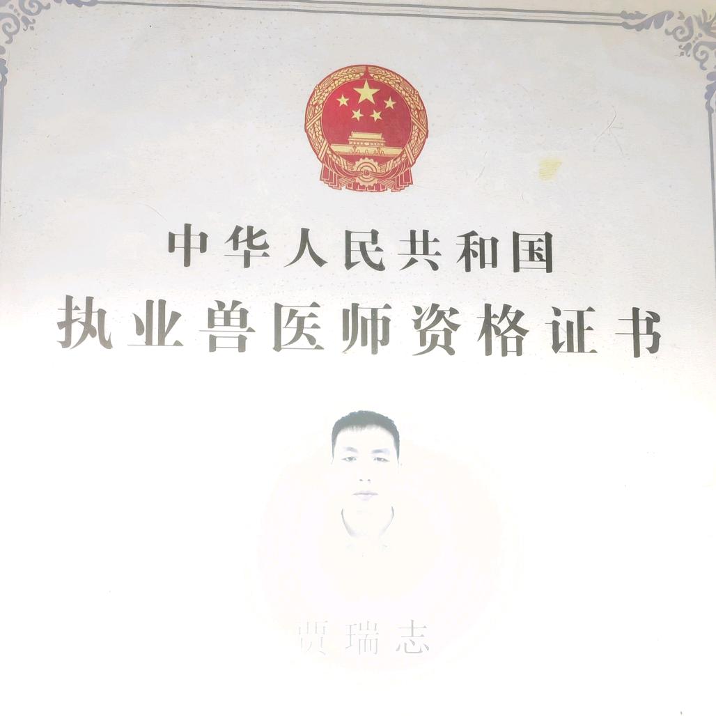 贾瑞志