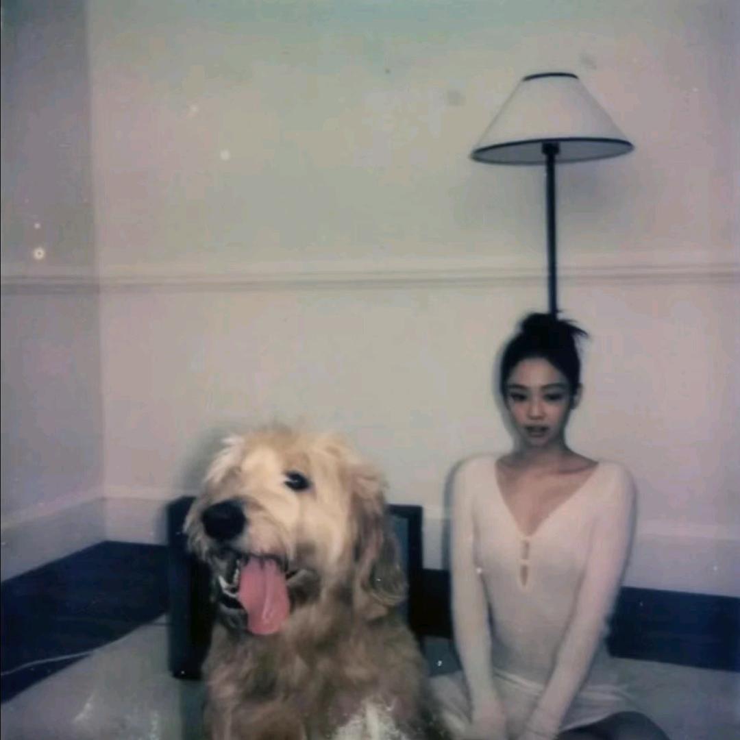 朱Jennie白