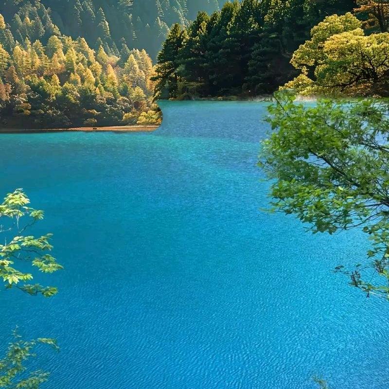 杜沁林