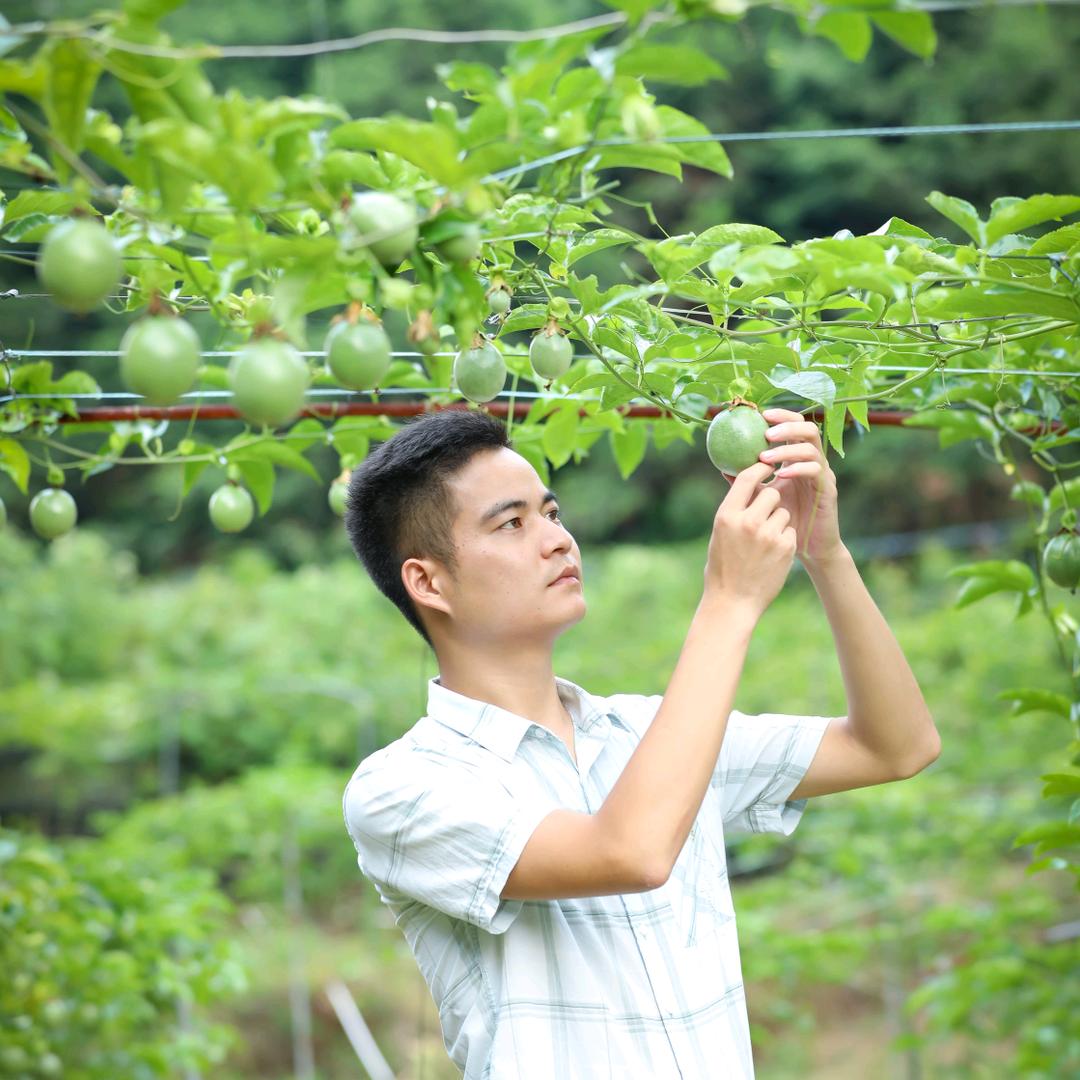 广东怀集赵支书