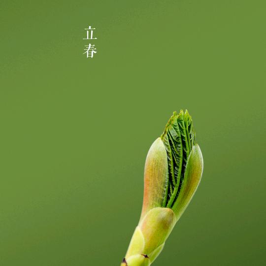 北小溪