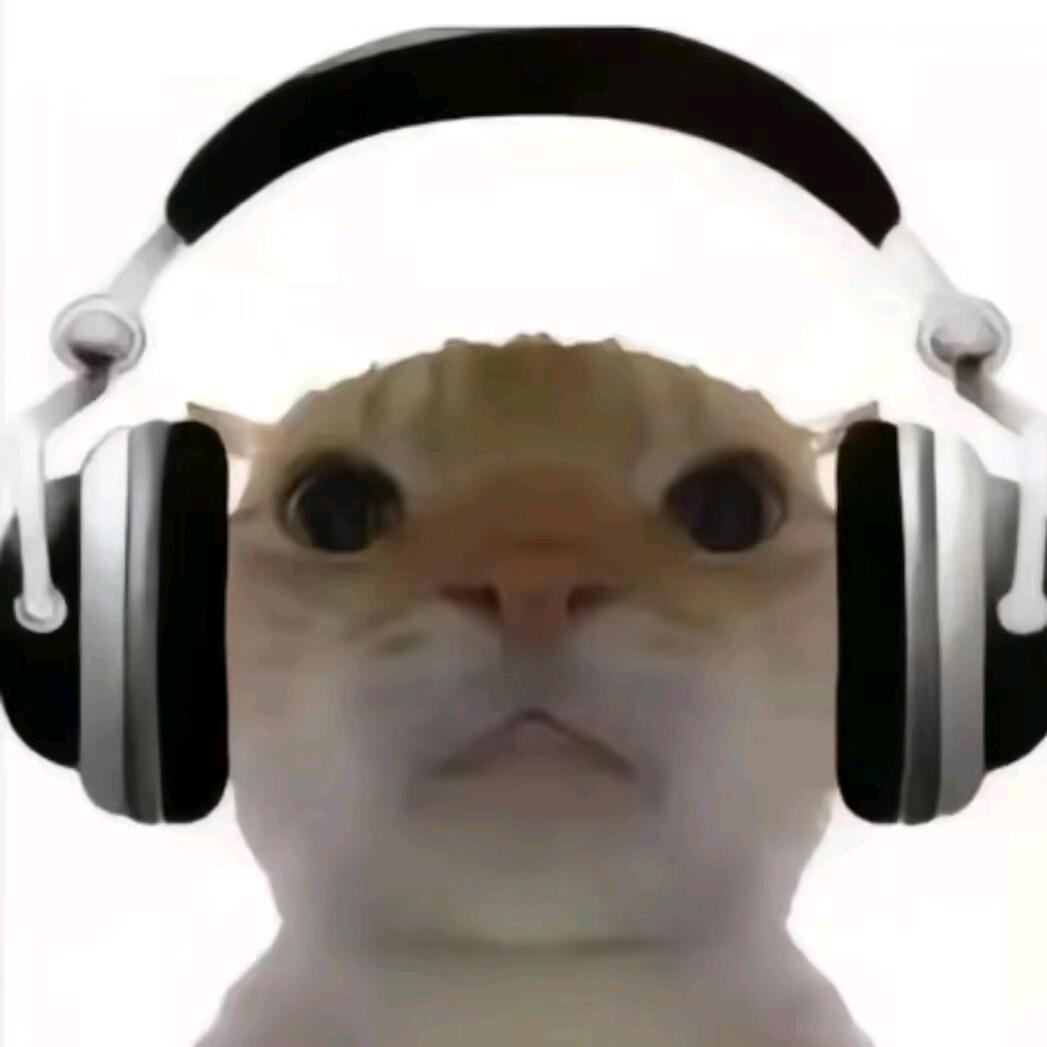 诗贺贺
