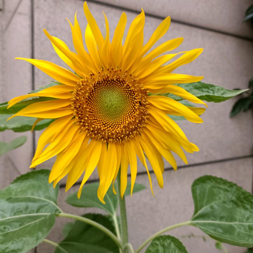 ❣️❗️‼️余生安好‼️❗️❣️