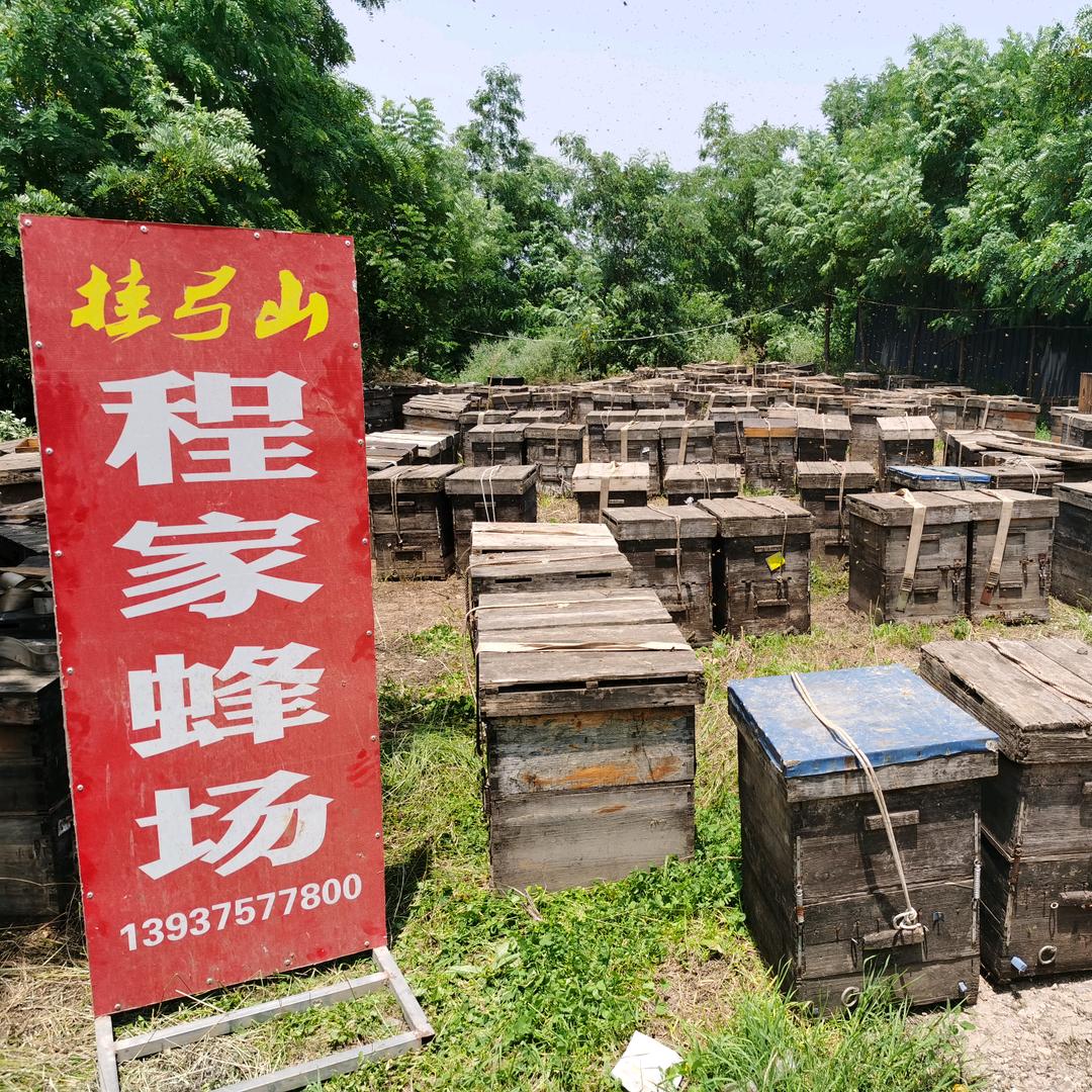 挂弓山蜂蜜柴鸡蛋