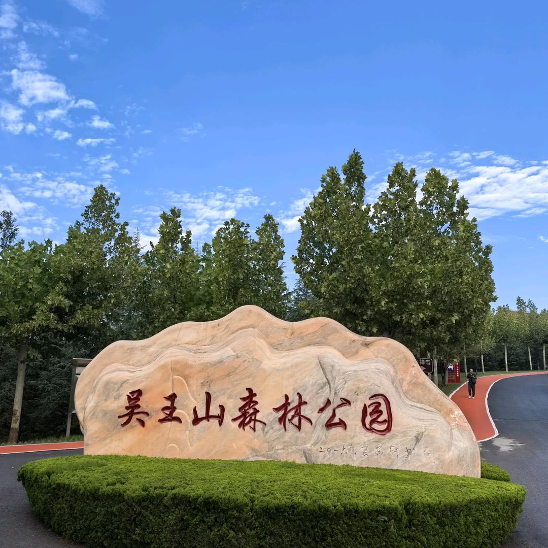 带着闪电看世界