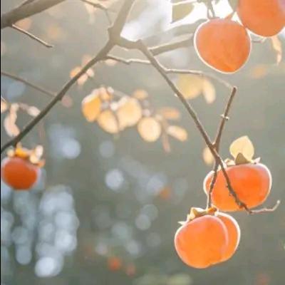 🥂ꦿ꯭微醺ঞৣঁ🥀