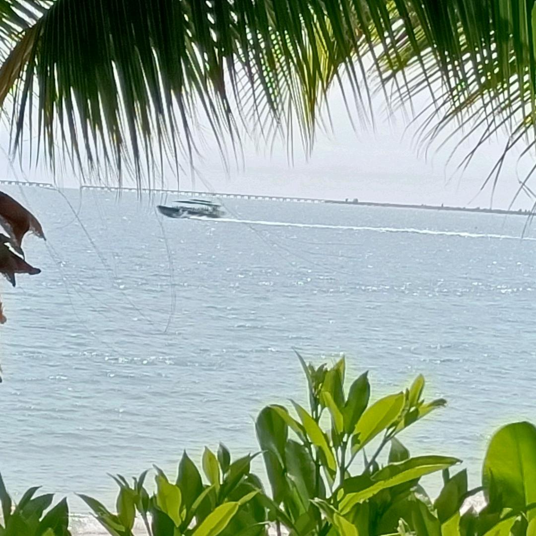 爱在夏末