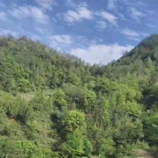 往事成风