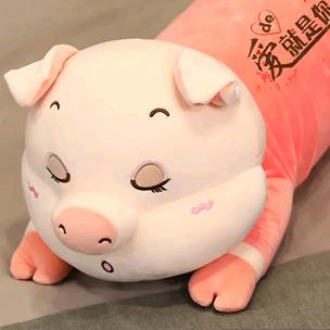 🐷🐷