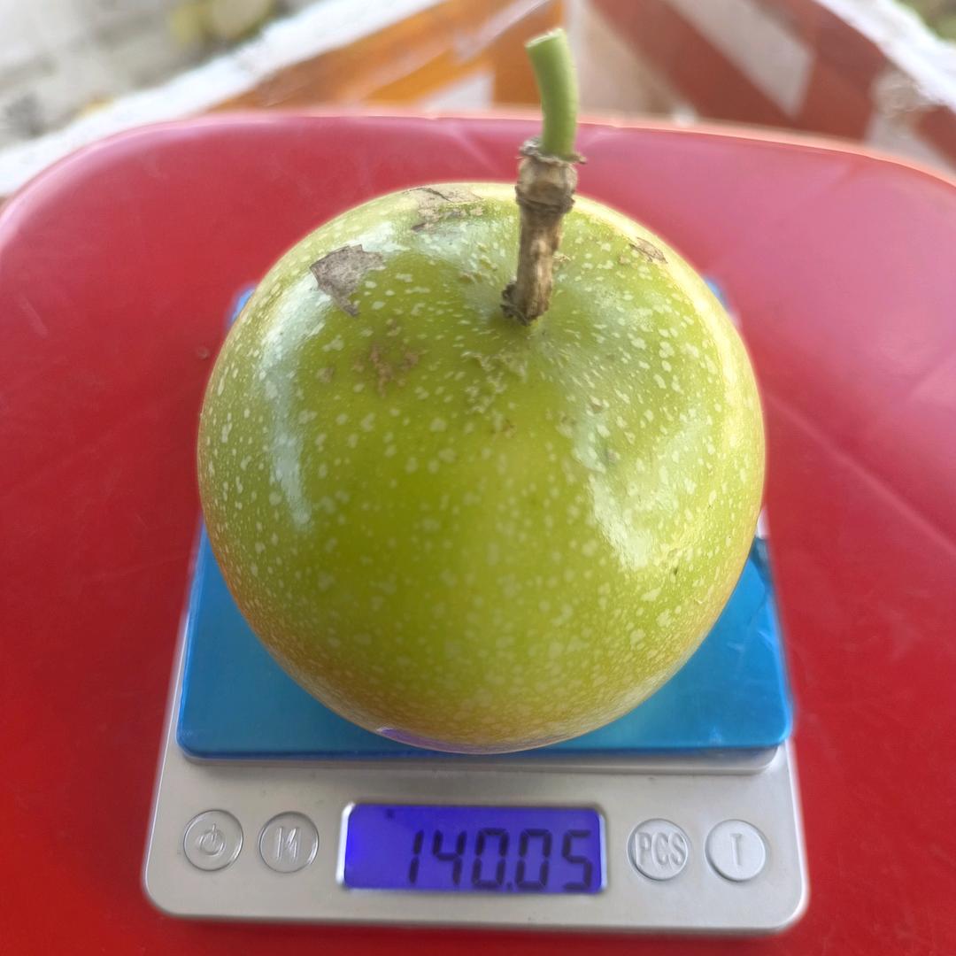 阿彬原产地百香果供应链