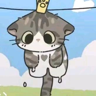 小猫～