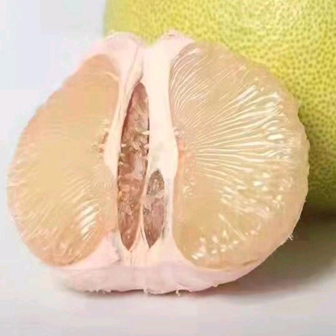 莆田度尾文旦柚