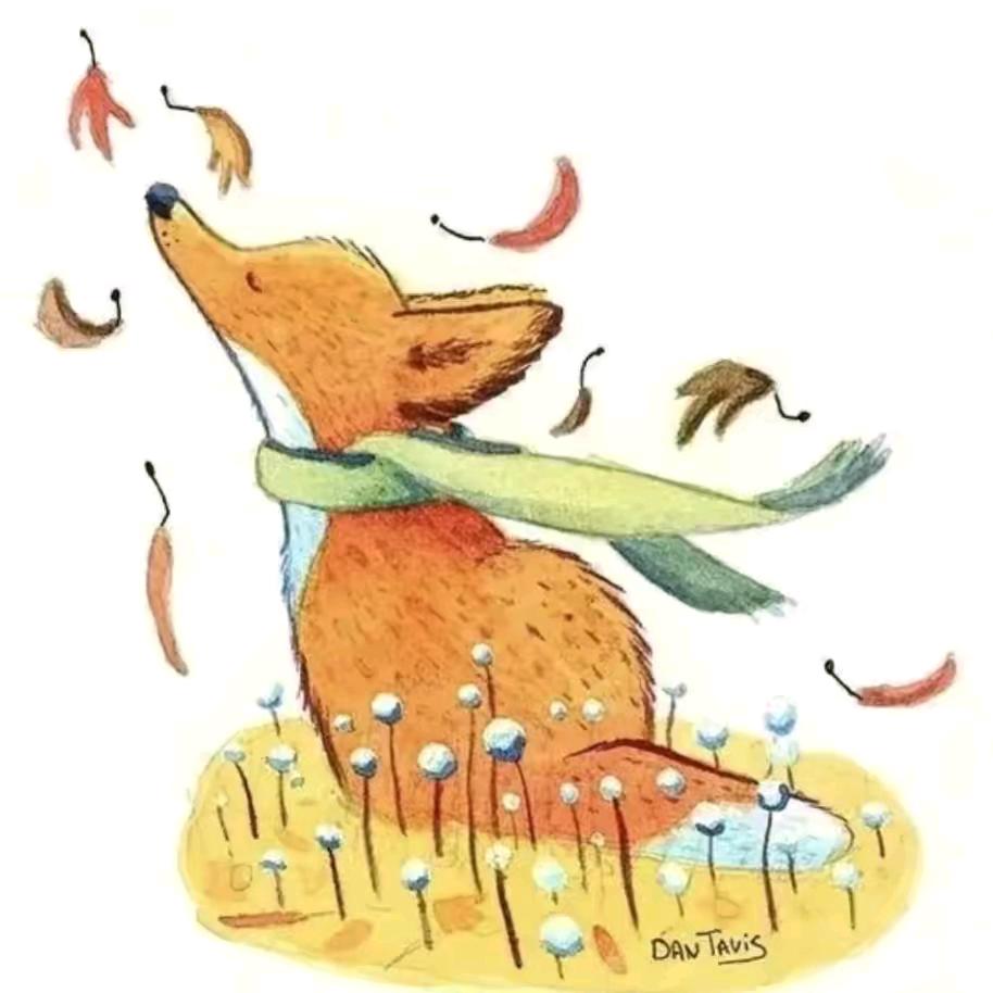 小狐狸🦊