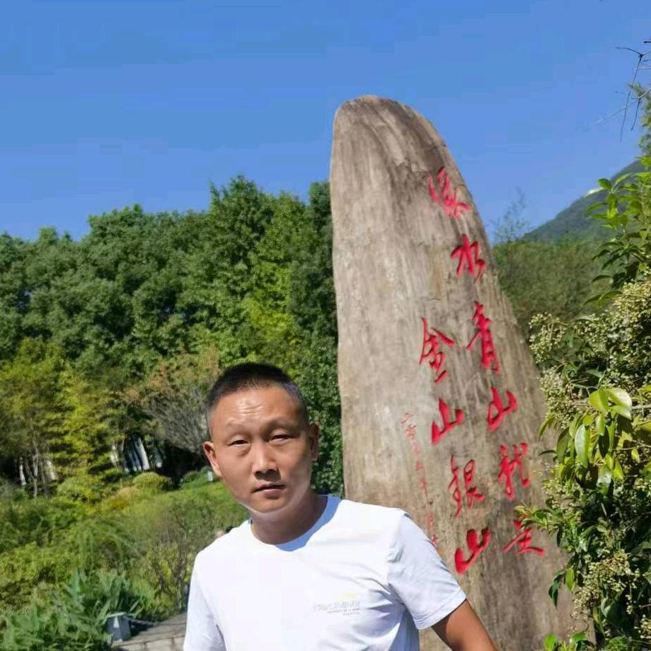 震元茶叶翟顺利