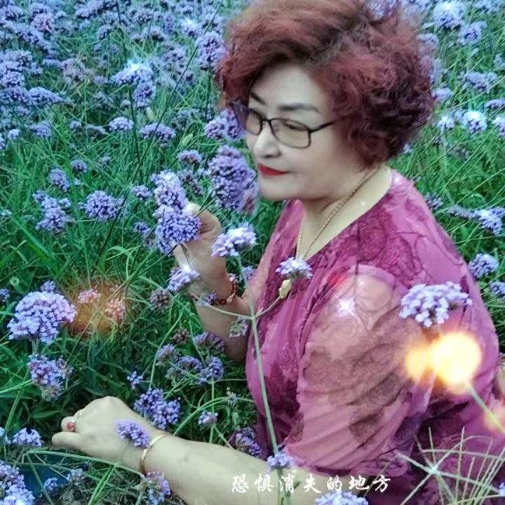 张家三公主