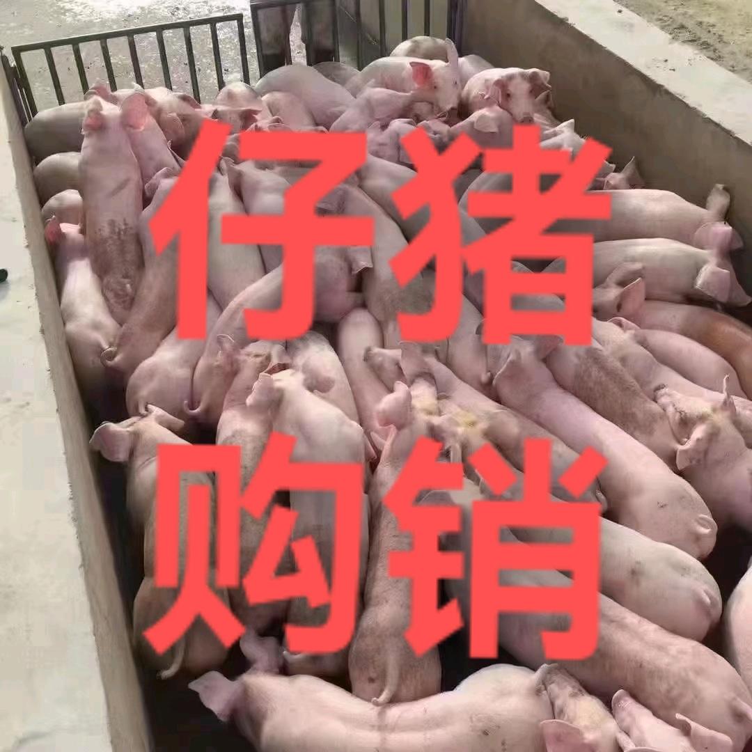 利嘉商贸