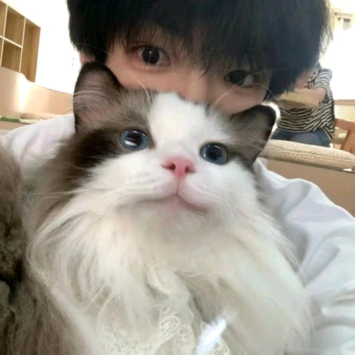 薯条梦男