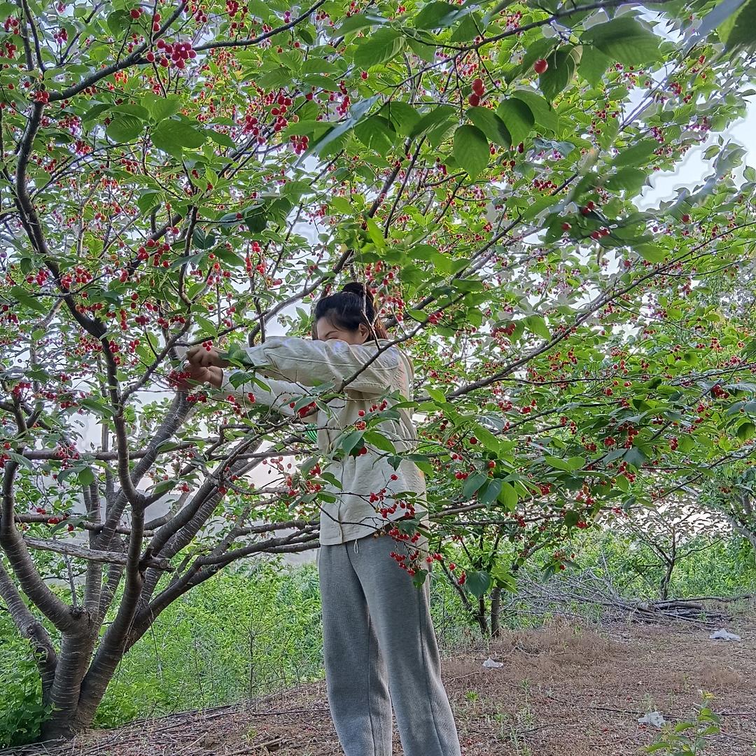 杨小妮💋