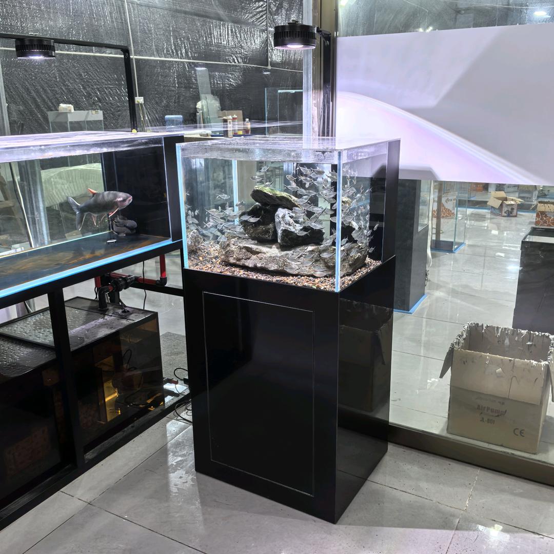 广州鱼艺水族工厂