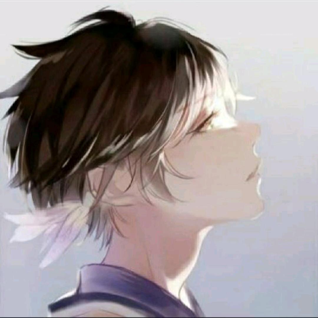 泽哥