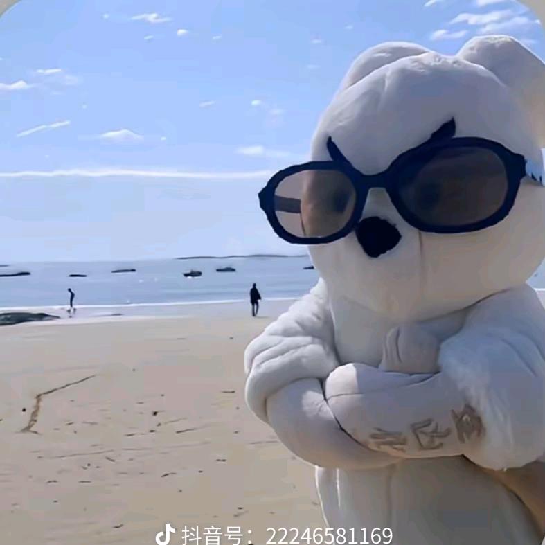 干就完了