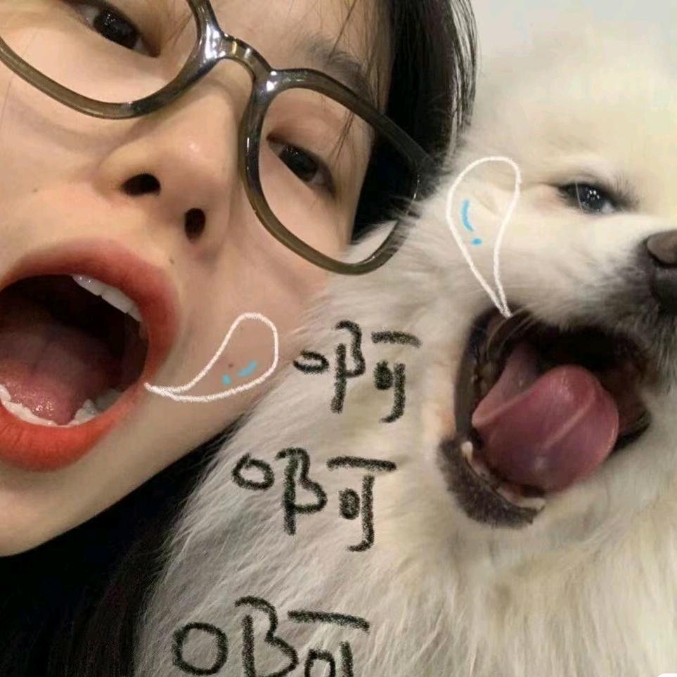 罗蛳粉