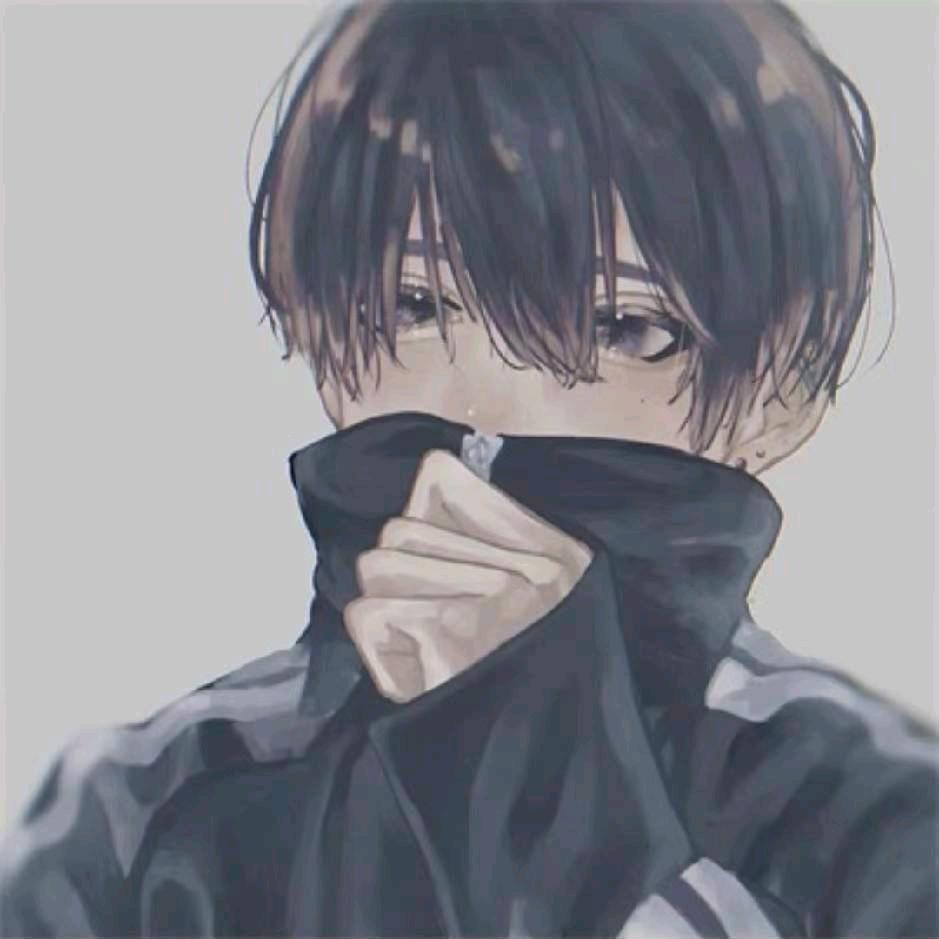 小杨哥