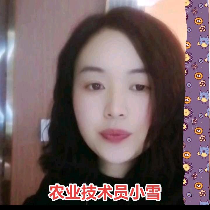小雪(南社花虎农资服务站）