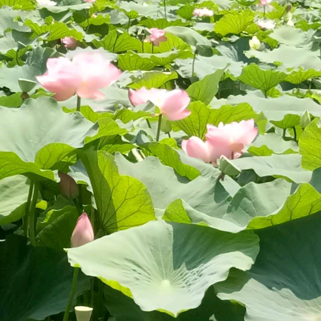 风雨彩虹🌈