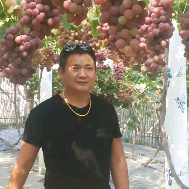 撑起一片晴空