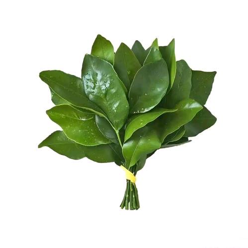 财神爷的小跟班