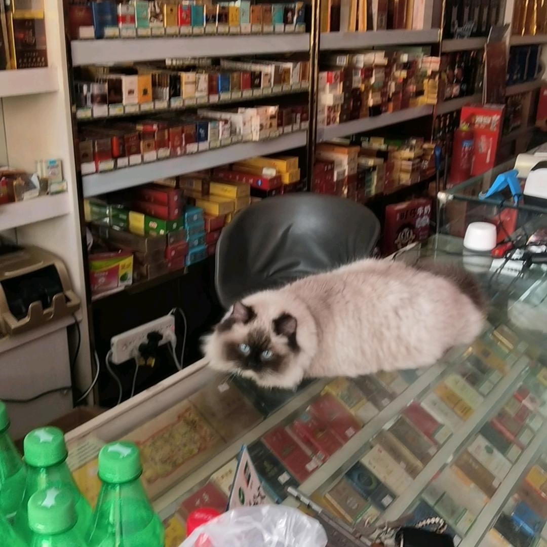 宝都礼品超市