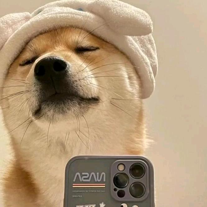 精辟