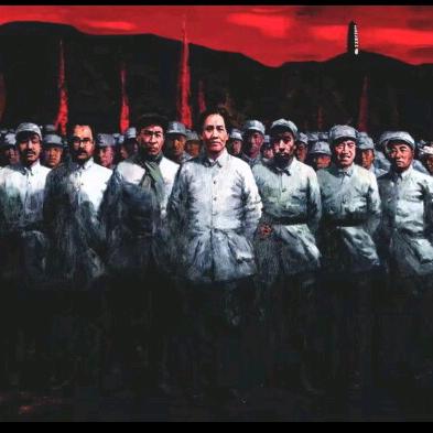 泽西