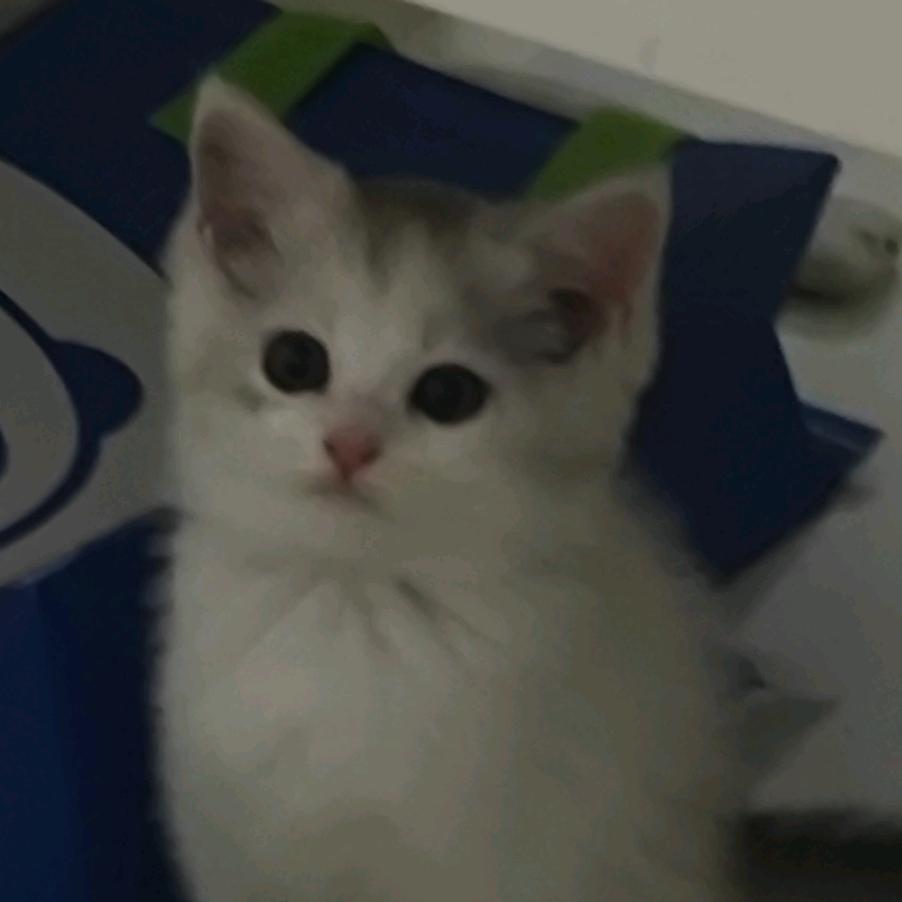 ？？！头像