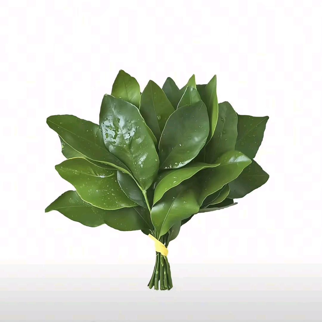 এ᭄ོ可ོ心ృ༊