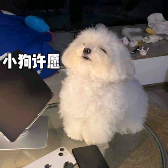 早睡早起身体好