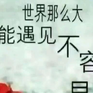 独狼🐺