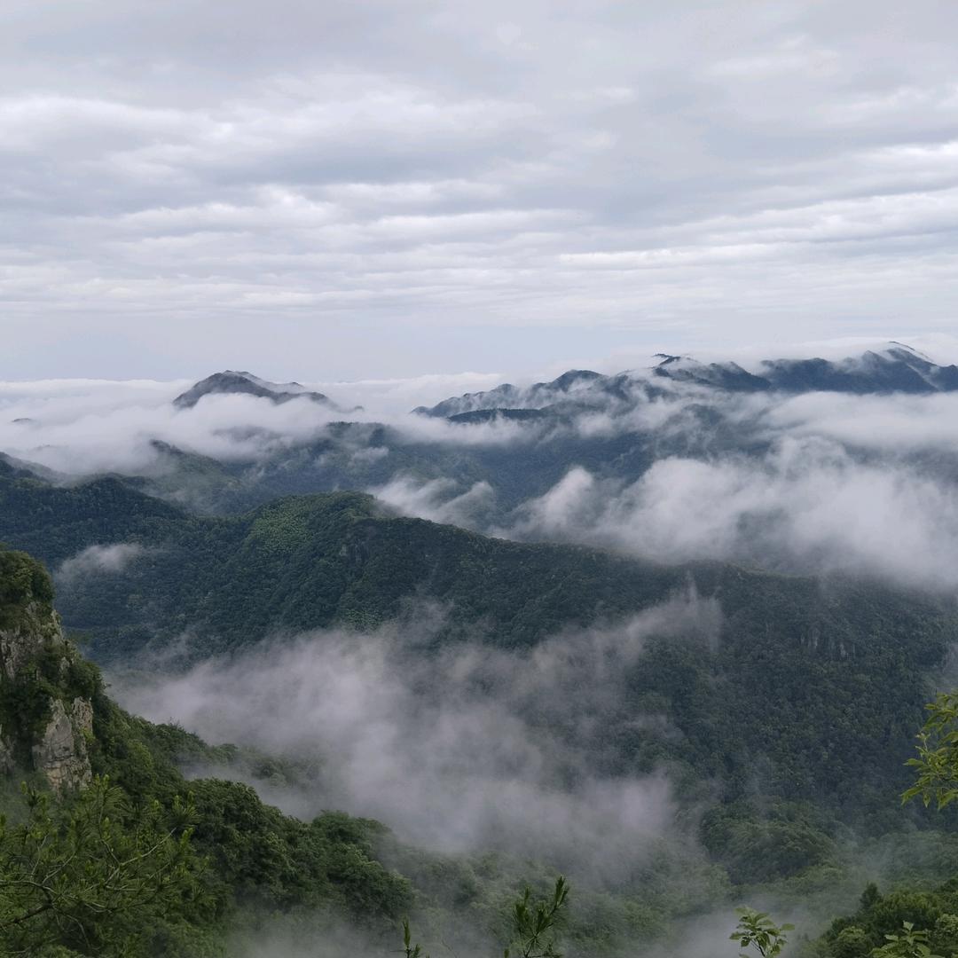 靜思己過