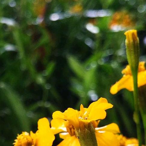 哦破各位家长咯