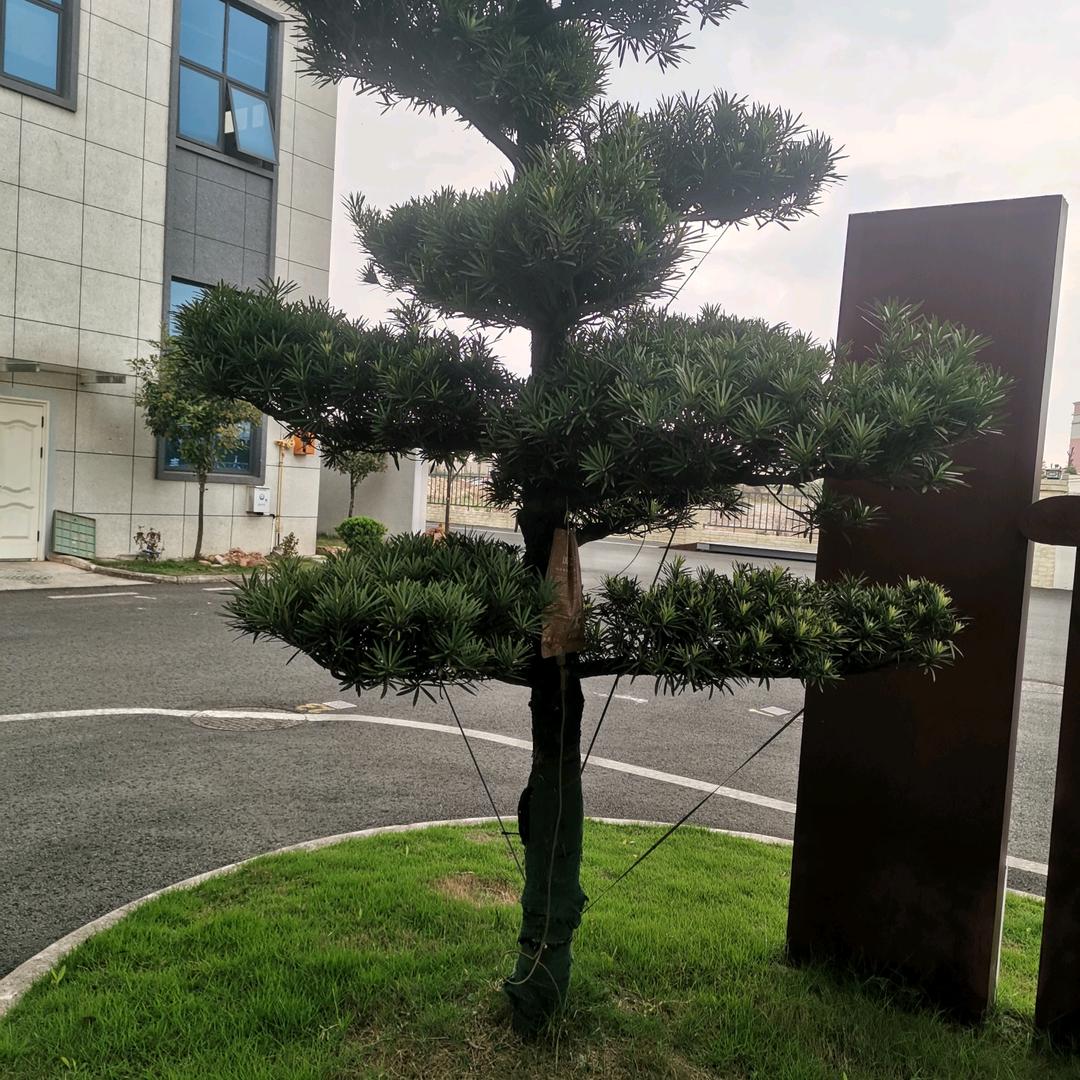 一切随缘