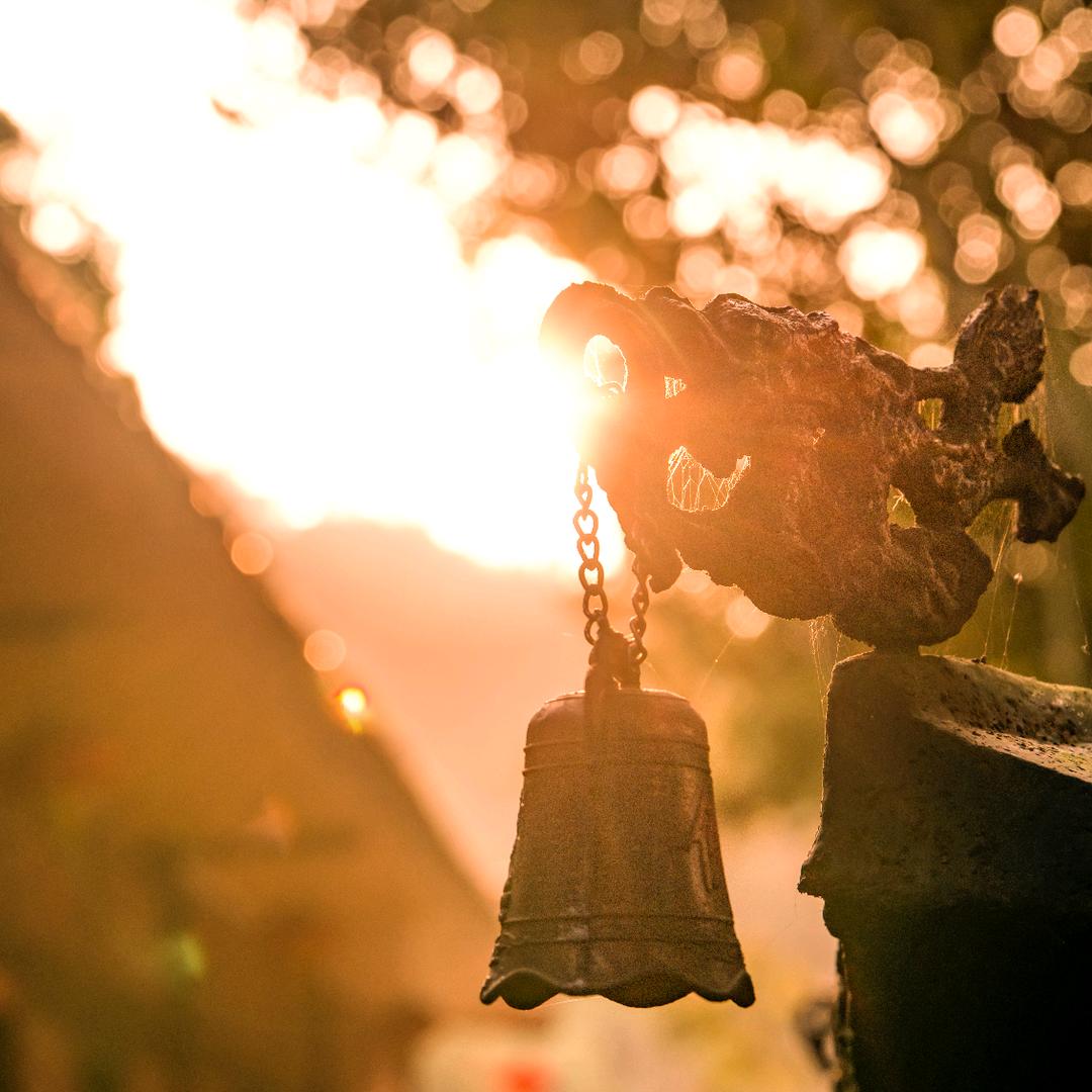 禅净 (答案之书)