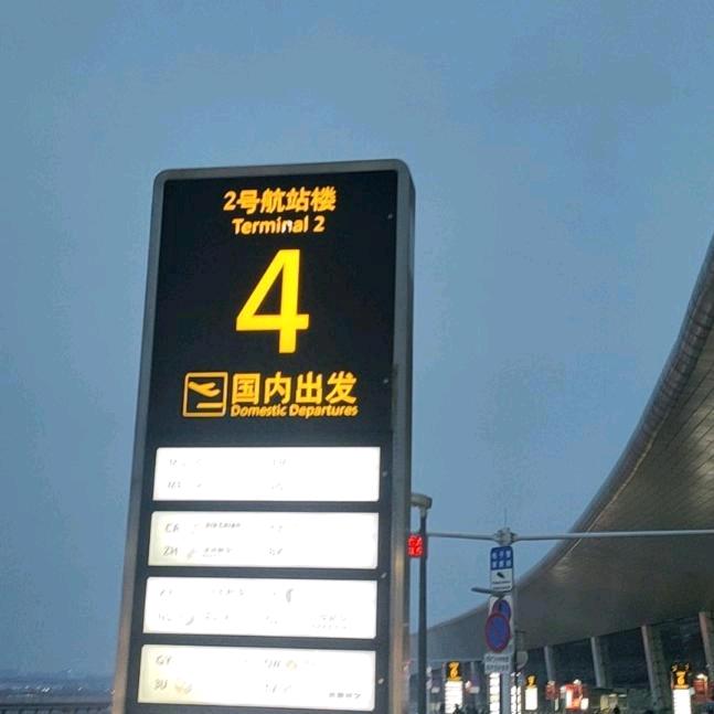 树廷