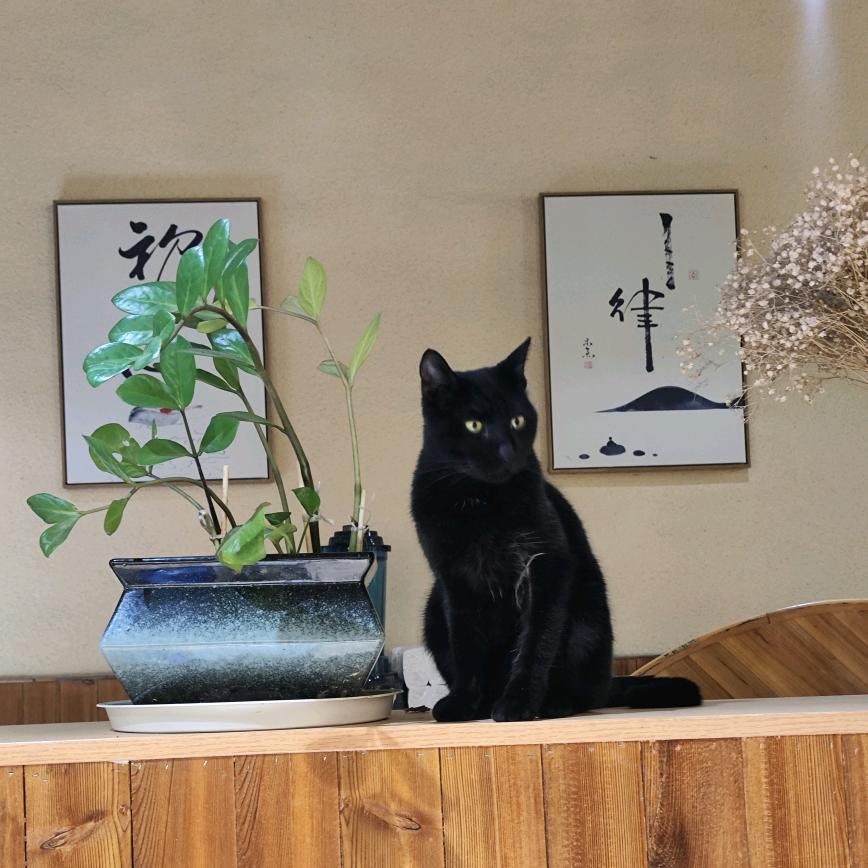 其实字名也不是么那重要的