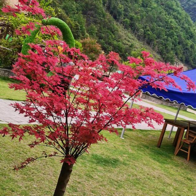 💖不是柠檬，💘为何心酸💝。