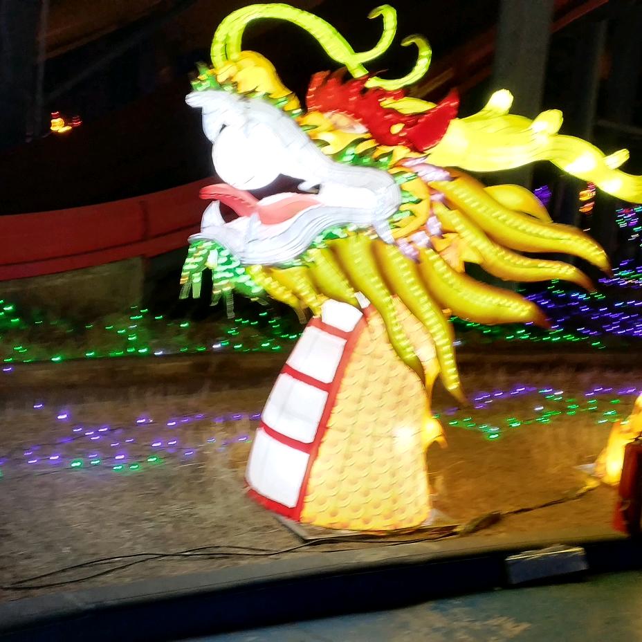 河南鹿邑，老子故里张*超