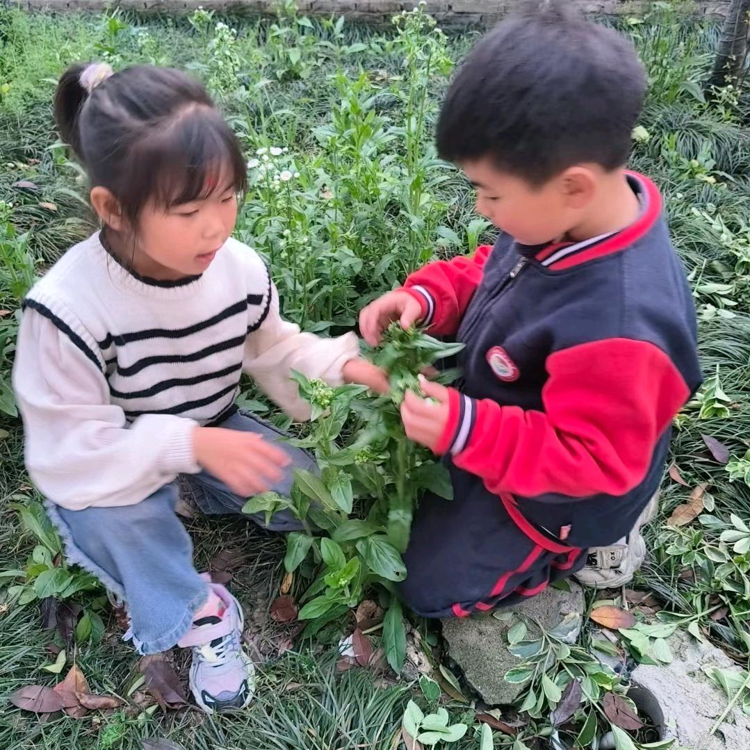 @春暖花开@