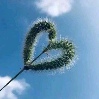想太多